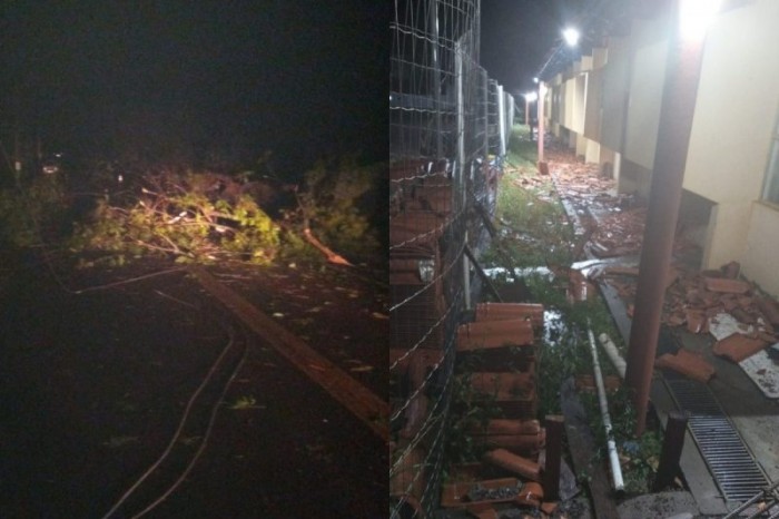 Tempestade Destelha Casas Derruba Rvores E Postes Em Saudades